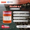 ซีเทนเดอร์ 12 ที / Seatender 12T