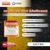 ทราฟฟิค ไลน์เพ้นท์ ชนิดไม่สะท้อนแสง / Traffic Line Paint