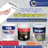 รวมสีรองพื้นยืดหยุ่น ช่วยปกปิดรอยร้าว️ รวมสีรองพื้นยืดหยุ่น ช่วยปกปิดรอยร้าว️
