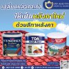 ตัวช่วยให้บ้านของคุณกลับมาสวยจึ้งในพริบตา ด้วยสีทาหลังคา ตัวช่วยให้บ้านของคุณกลับมาสวยจึ้งในพริบตา ด้วยสีทาหลังคา