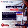 อินเตอร์ซีล 670 เอชเอส / Interseal 670HS