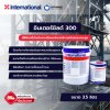 อินเตอร์ชิลด์ 300 / Intershield 300