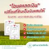 "โฉนดแลกเงิน" เปลี่ยนที่ดินเป็นเงินแสนได้