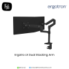 Ergotron LX Dual Stacking Arm