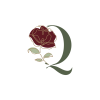 Qiinola