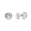 Sterling Silver Rainbow Moonstone Stud Earrings