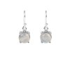 Sterling Silver Earrings 8 mm