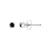 Sterling Silver Black Diamond 0.2 Carat Stud Earrings
