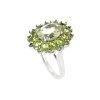 Sterling Silver Green Amethyst & Peridot Ring
