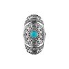 Sterling Silver Sleeping Beauty Turquoise Ring