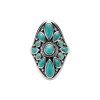 Southwestern Turquoise Sterling Silver Ring