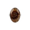 Sterling Silver Ammonite Shell Ring