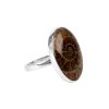 Sterling Silver Ammonite Shell Ring