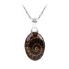 Sterling Silver Ammonite Shell Pendant with Chain 18 Inches