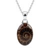 Sterling Silver Ammonite Shell Pendant with Chain 18 Inches