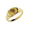 Sterling Silver Narcissus (Flower of Month) Signet Ring Over 18K Yellow Gold Plated