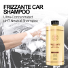 Frizzante Car Shampoo