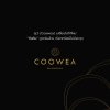คูเว่ (Coowea) เปลี่ยนโลโก้ใหม่ กังหัน ดูดเงินล้าน เรียกทรัพย์ไม่มีสะดุด คูเว่ (Coowea) เปลี่ยนโลโก้ใหม่ กังหัน ดูดเงินล้าน เรียกทรัพย์ไม่มีสะดุด