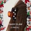 daisy claw brown