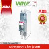 A1N 1P