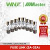 Fuse Link (ลูกฟิวส์)