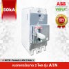 A1N 2P 50kA