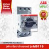 MS116 (Motor Starter)