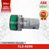 Pilot Lamp CL2-523G