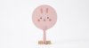 Hand Fan