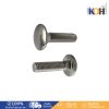 Bolt หัวกลมคอเหลี่ยม 5/16"x3" เกลียวตลอด