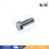 Hex Bolt 8.8 Zinc M20X70 
