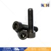 Socket Bolt 12.9