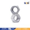 Hex Nut 8.8 HDG M10