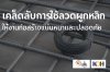 เคล็ดลับการใช้ลวดผูกเหล็กให้งานก่อสร้างแน่นหนาและปลอดภัย