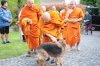 Somdet Phra Maha Theerachan s&#039;est rendu pour accomplir des devoirs religieux à Paris.