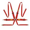 เข็มขัดนิรภัย OMP Tecnica 3"+2" Saloon 6 Point Harness