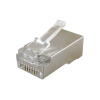 Plug RJ45 CAT6