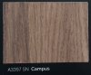 A3397 SN  Campus