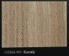 H3966 WV Eucaly