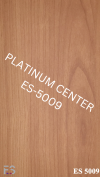 ES5009-22 New Woodgrain