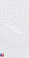 KV 8291HY Speckle Stone Terrazzo