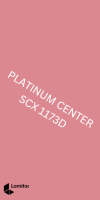 SCX 1173D Amaryllis