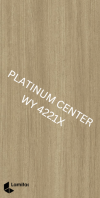 WY 4221X Weathered Eames Teak