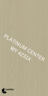 WY 4231X Creme Ash