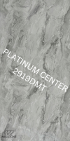 2919DMT Paladina