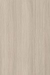 PL 0258 BW - Rijeka Oak