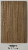 10880 STK Earth Cherry