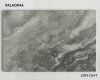 2919DMT Paladina