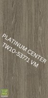 TW10-53771 VM Bregenz Ash