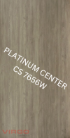 CS 7656W Bruno Elm